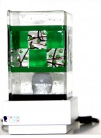 Pax Lux Green